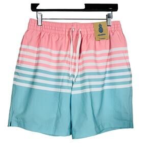 NEW! Chubbies Lined Casual Swim Trunk On the Horizons Stripe Resort - M